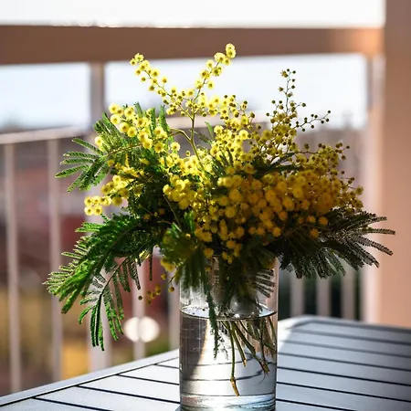 Les Orangers, Avec Coin Nuit, Incroyable Vue Sur La Et La Mer, Parking Appartement *