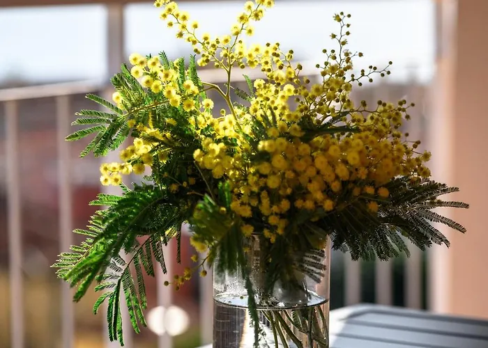 Les Orangers, Avec Coin Nuit, Incroyable Vue Sur La Et La Mer, Parking Apartman *